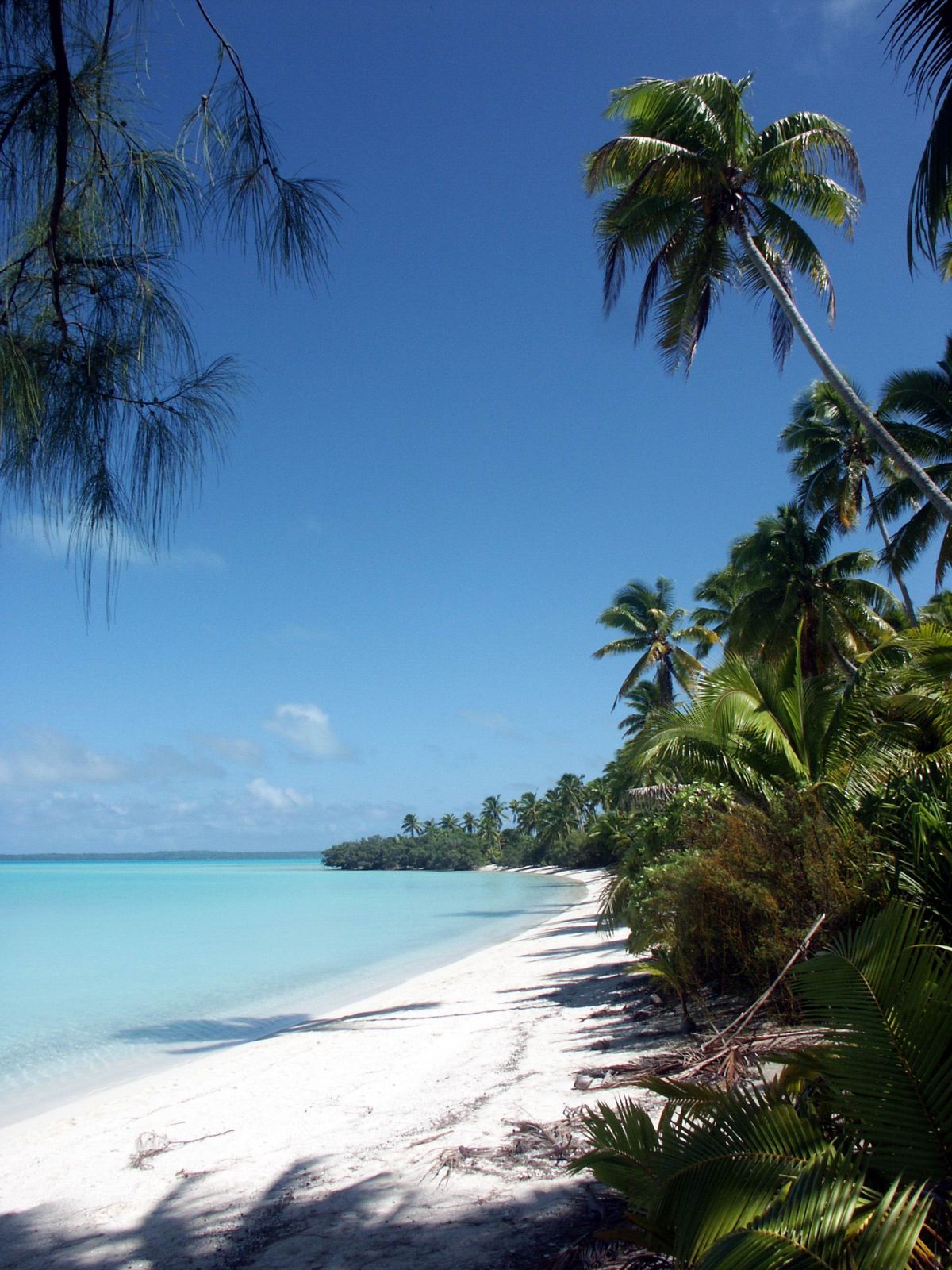 zeland1