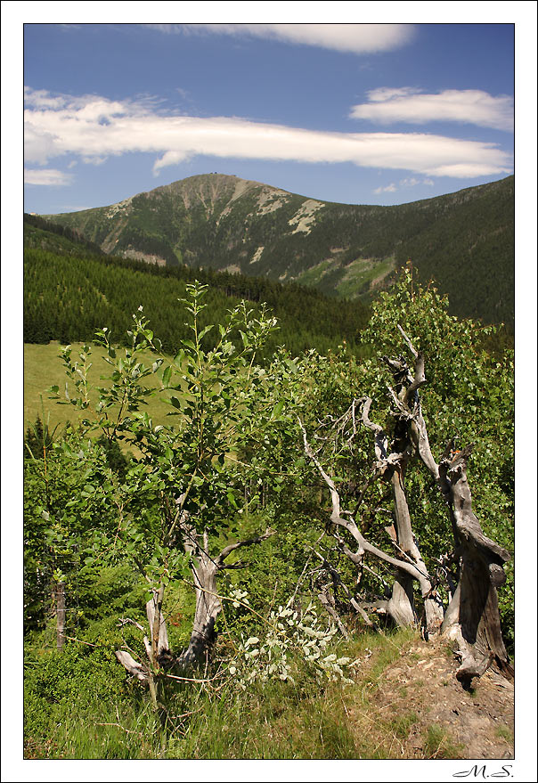 Krkonoše_