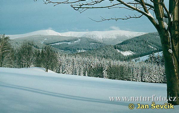 Krkonoše__